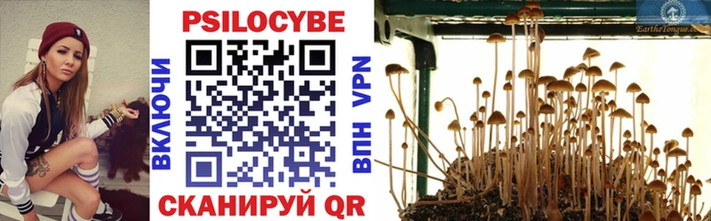 Купить где  Шелехов  Галлюциногенные грибы Cubensis 